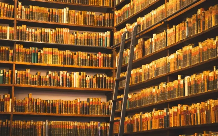 A lot of books on a library shelves.